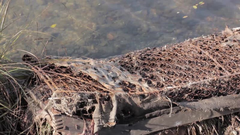 Avskräde på en kust av sjön, vattenförorening