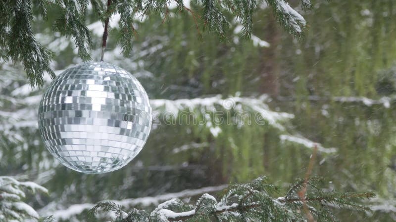 Avspegla bollen på bakgrunden av en vinterskog