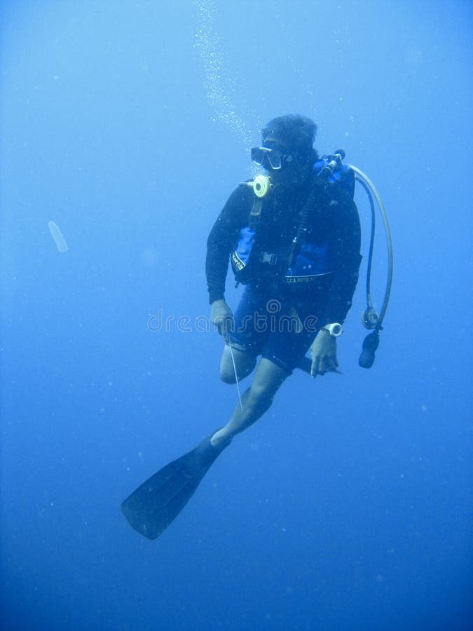 Avventura di immersione con bombole immagine stock libera da diritti Avventura di immersione con bombole immagine stock libera da diritti