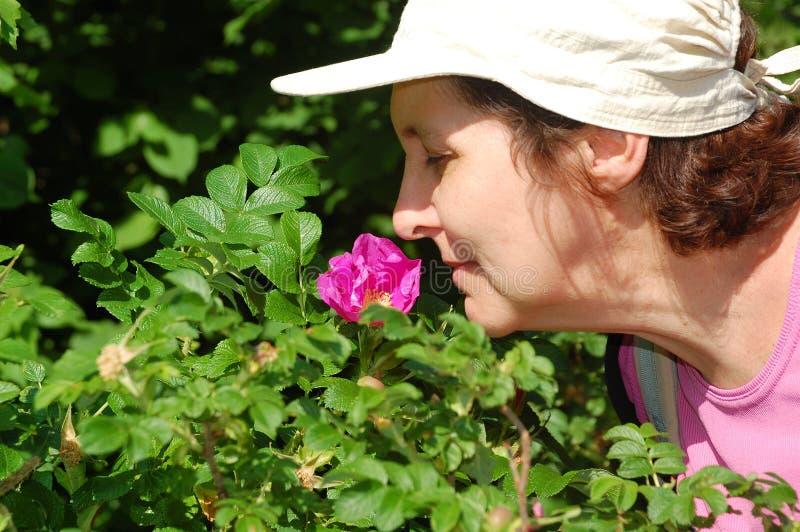 A avó cheira a esguinha fotos de stock royalty free