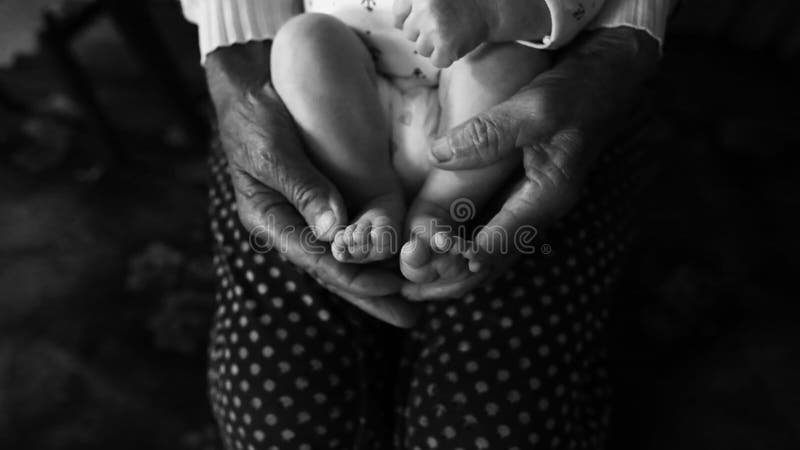 A avó idosa entrega guardar os pés recém-nascidos, quarta vida familiar da geração tiro preto e branco, o conceito de uma família fotografia de stock A avó idosa entrega guardar os pés recém-nascidos, quarta vida familiar da geração tiro preto e branco, o conceito de uma família fotografia de stock