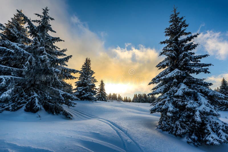 Winter Stock Photos, Royalty Free Winter Images