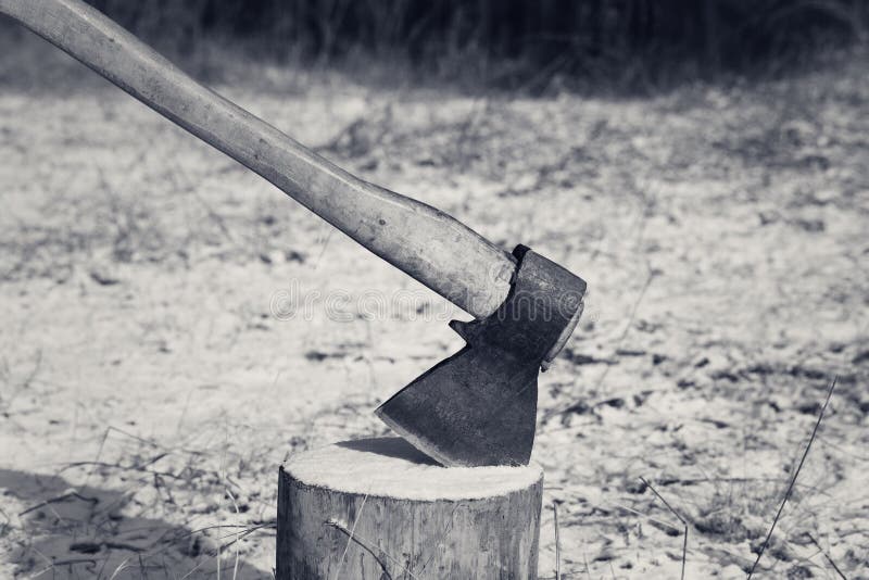 Ax et log dans la forêt d'hiver. noir et blanc photos libres de droits
