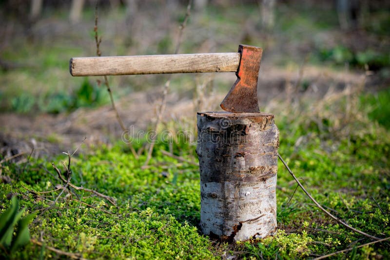 Ax stuck royalty free stock image