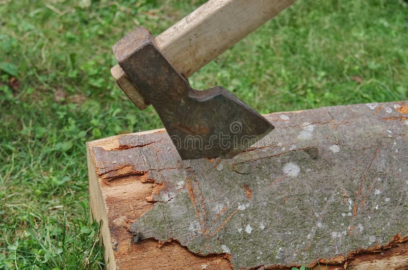 Ax w drzewnym fiszorku obrazy stock Ax w drzewnym fiszorku obrazy stock
