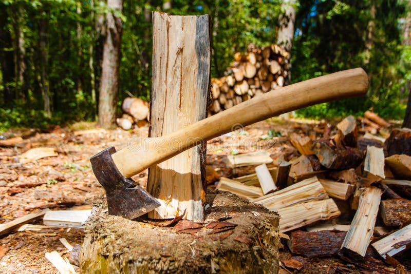 Axe and chopped logs in forest