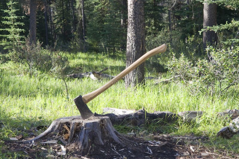 axe-tree-stump-6491190.jpg