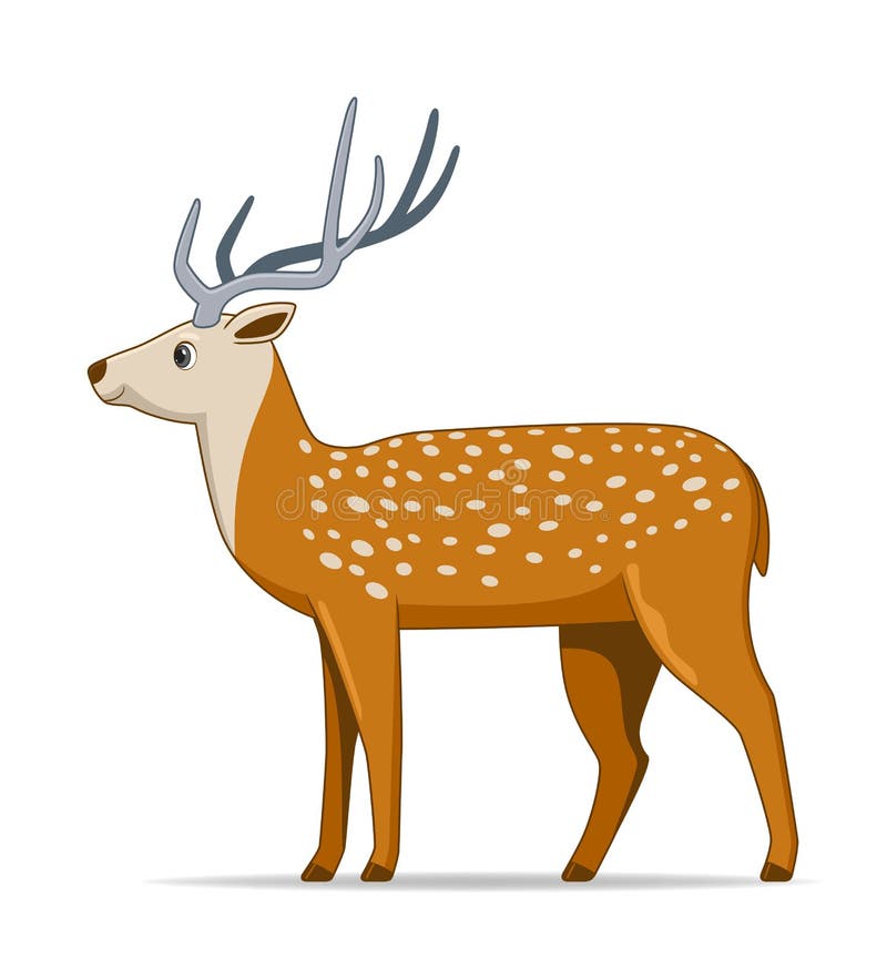 Axis Deer Animal Standing On A White Background Stock Vector