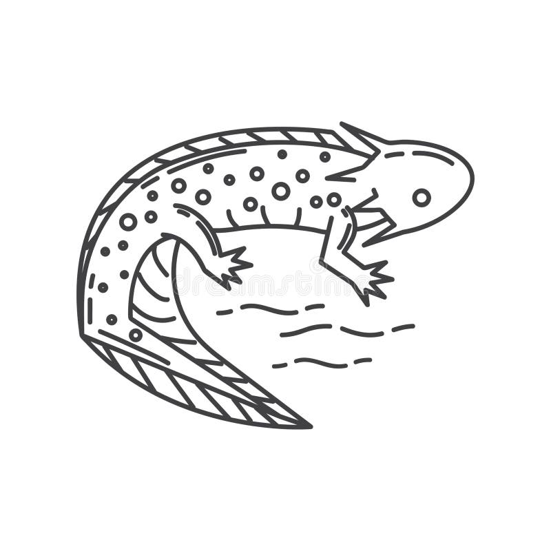 Axolotl Vector Stock Illustrations 373 Axolotl Vector Stock Illustrations Vectors Clipart Dreamstime Axolotl Vector Stock Illustrations 373 Axolotl Vector Stock Illustrations Vectors Clipart Dreamstime