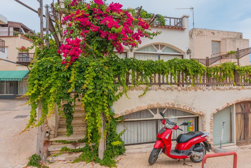 Ayia Napa, Cyprus - 02.02.2018: Colorful scene on the streets of the resort town on a summer day. Magnolia with lush flowers and a royalty free stock photos Ayia Napa, Cyprus - 02.02.2018: Colorful scene on the streets of the resort town on a summer day. Magnolia with lush flowers and a royalty free stock photos