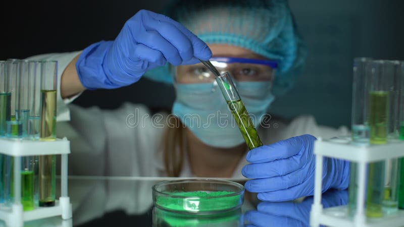 Ayudante de laboratorio que añade el polvo verde al tubo con la planta verde, influencia del fertilizante