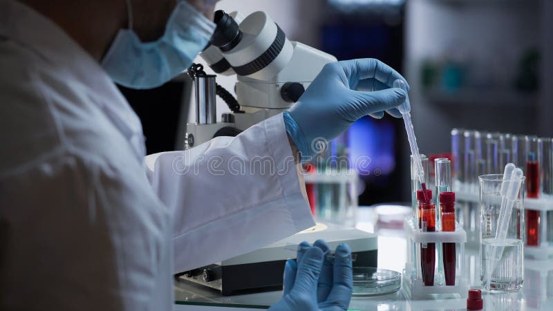 Ayudante de laboratorio que toma la gota de la sangre para detectar los anticuerpos y las infecciones fotos de archivo libres de regalías Ayudante de laboratorio que toma la gota de la sangre para detectar los anticuerpos y las infecciones fotos de archivo libres de regalías