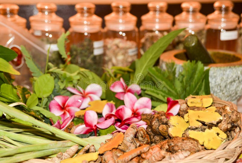 Ayurveda Herbs and Roots for Treatment 2019 Stock Photo Image of mortar, ingredient 136169722