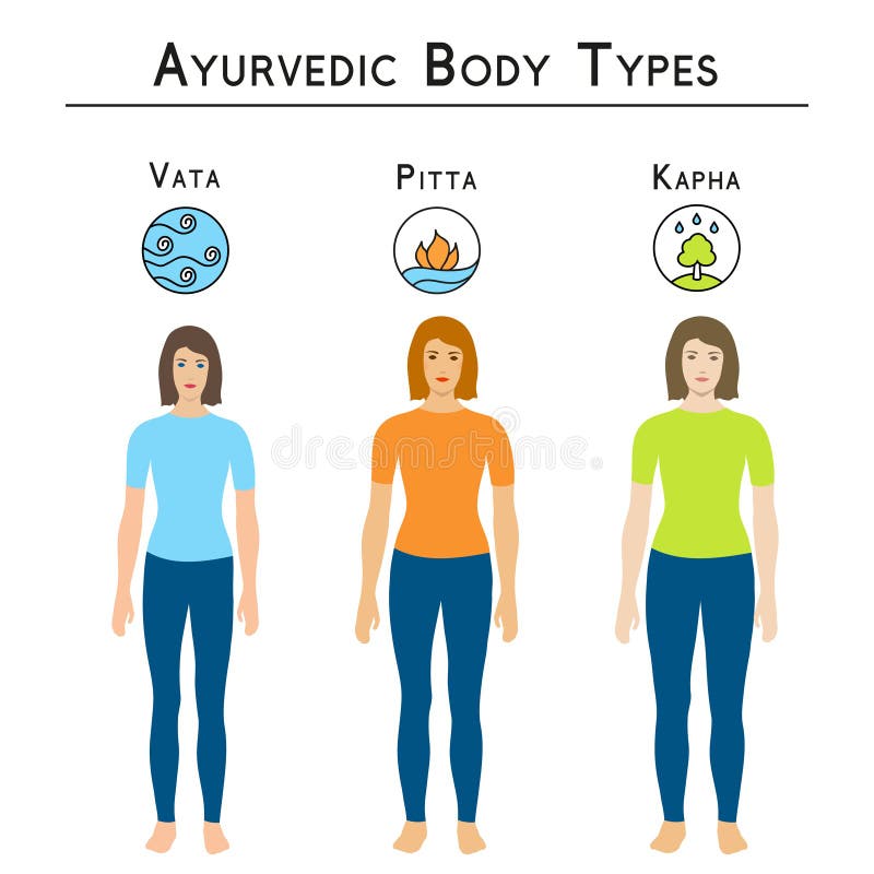Body Types Women Stock Illustrations – 803 Body Types Women Stock