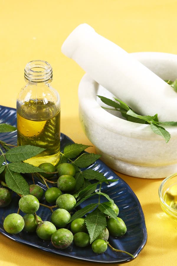 Neem Ayurvedic Oil stock photo. Image of bottle, medicine 99112936