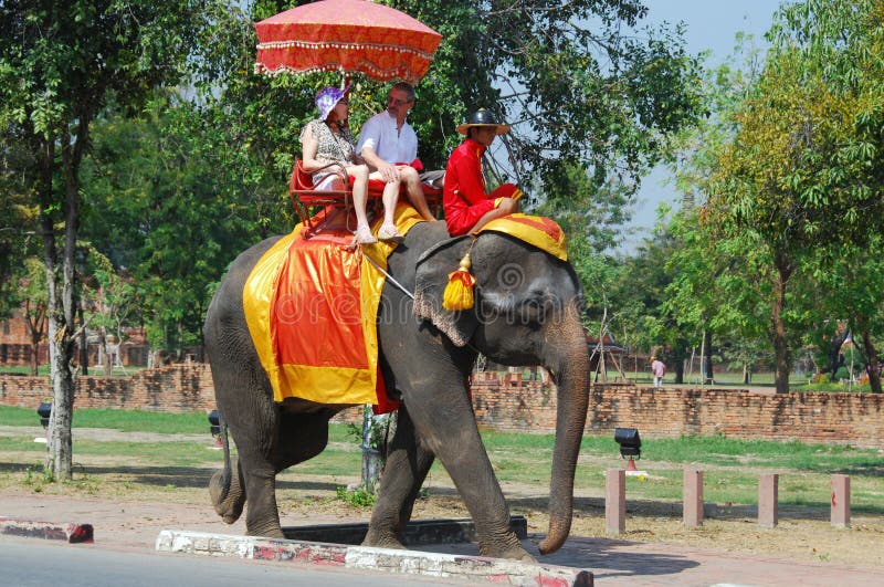 Ayutthaya, Thailand Elephant Riding Editorial Image Image of