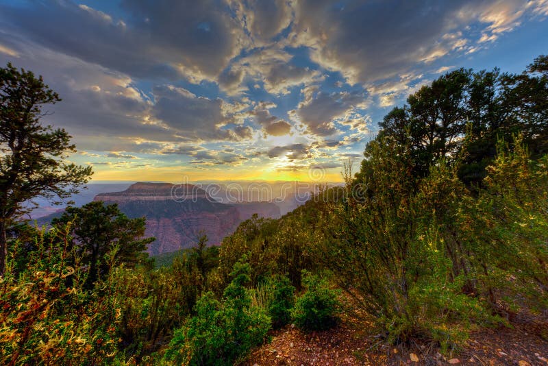 AZ-Grand Canyon National Park-North Rim-Timp Point