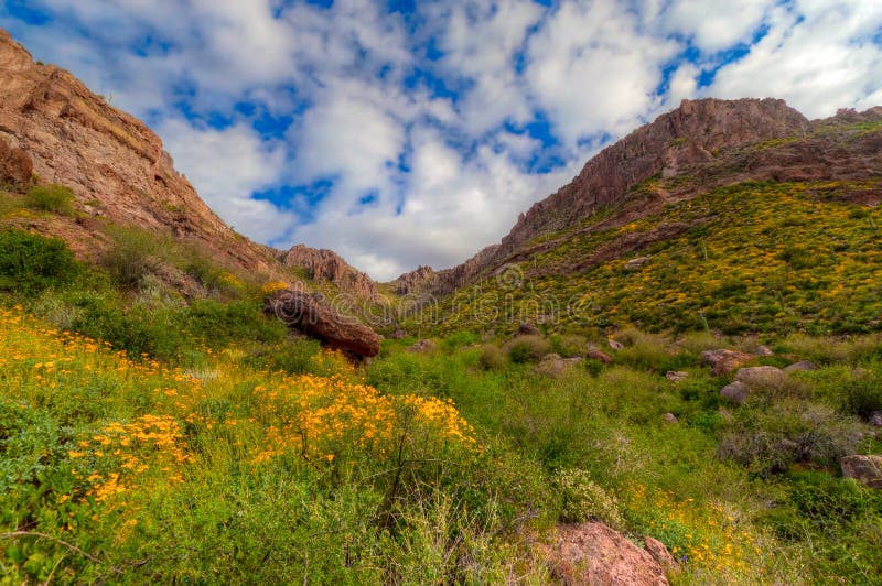 AZ-Superstition Mountan Wilderness