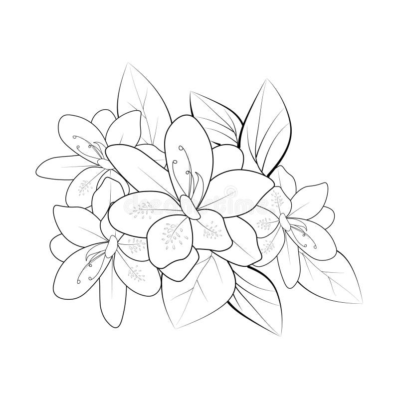 Azalea λουλούδι doodle καλλιτεχνικό σκίτσο ανθοδέσμη σχέδιο λουλούδι ζωγραφιά καμέλλια αζαλέα τέχνη. διανυσματική απεικόνιση