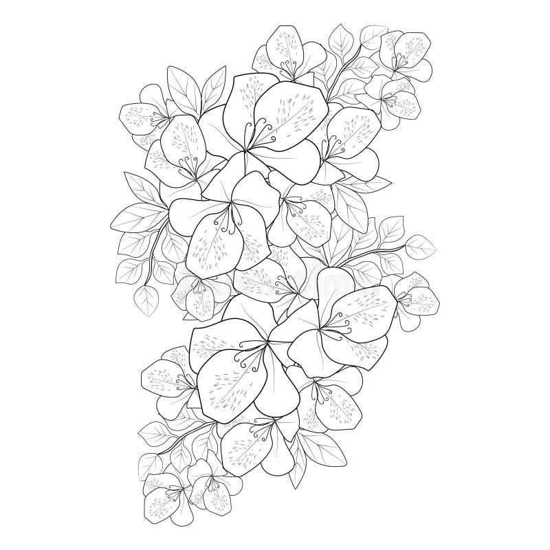 Azalea λουλούδι zen doodto tattto design ανθοδέσμη αζαλέα λουλούδι ασπρόμαυρο απεικόνιση αποθεμάτων