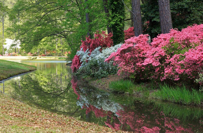 Are Dogs Allowed In Callaway Gardens