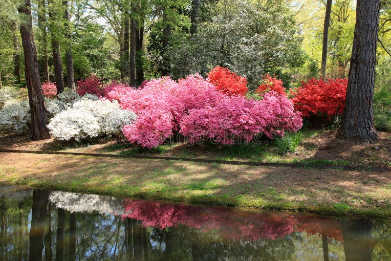 Are Dogs Allowed In Callaway Gardens