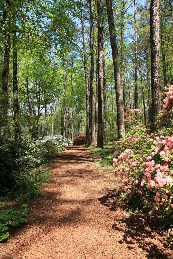 Are Dogs Allowed At Callaway Gardens