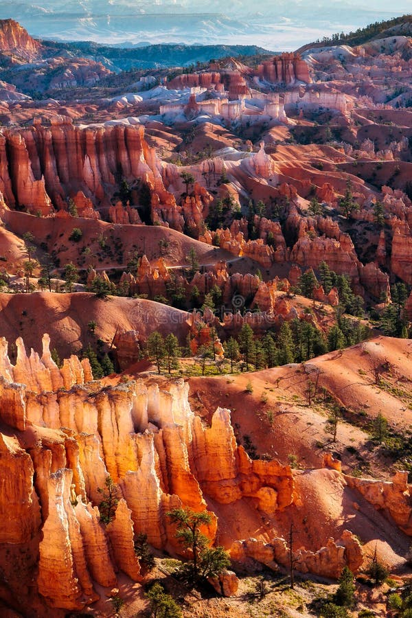 Azarentos ensolarados em Bryce Canyon foto de stock Azarentos ensolarados em Bryce Canyon foto de stock