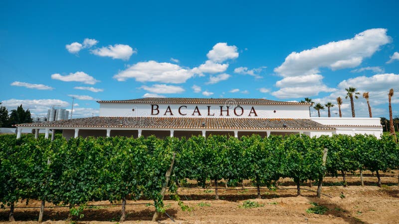 Bacalhoa vineyard at Azeitao in the Setubal region, Portugal famous for its Moscatel wine