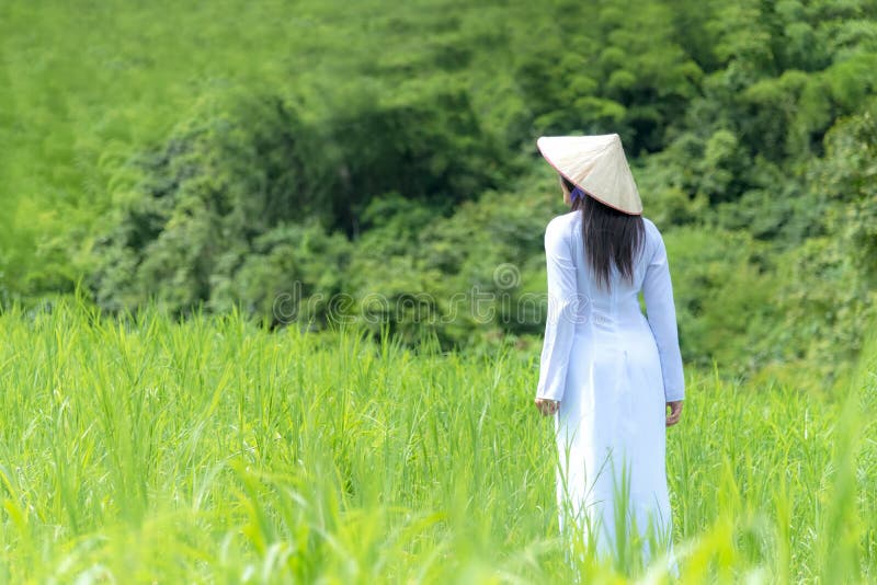 Aziatische vrouwen met de vrouw van het de kledingskostuum van ao-Dai Vietnam het traditionele lopen royalty-vrije stock afbeeldingen Aziatische vrouwen met de vrouw van het de kledingskostuum van ao-Dai Vietnam het traditionele lopen royalty-vrije stock afbeeldingen