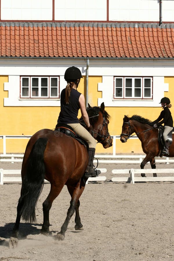 Azienda agricola danese del cavallo