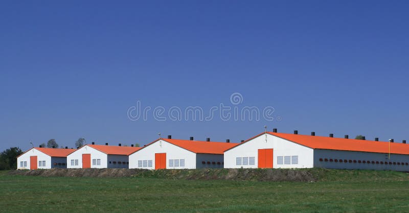 Azienda agricola moderna fotografia stock Azienda agricola moderna fotografia stock