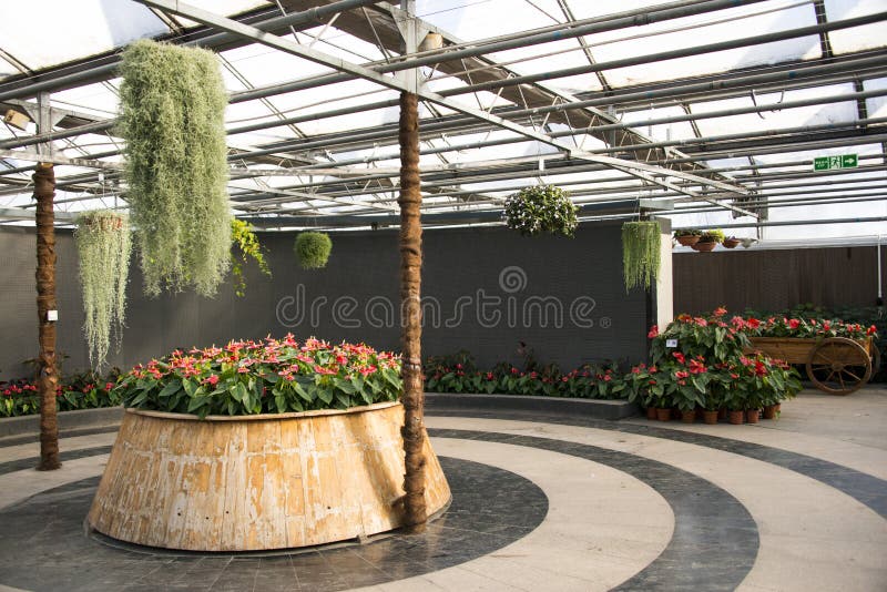 Azjata Chiny, Pekin widoku Uroczysty ogród kwitnie, szklarnia fotografia royalty free