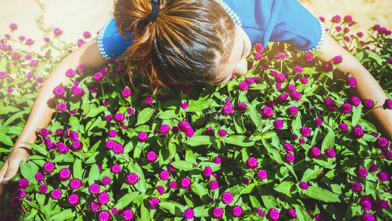 Azjatki podróżują spokojnie plemię wzgórza kobiet na polu kwiatów Gomphrena globosa purpurowa Tajlandia obrazy stock