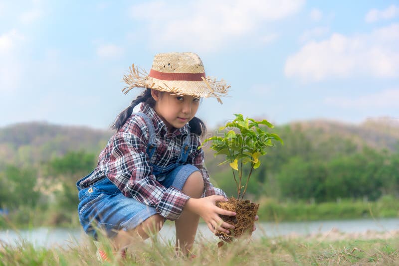 Azjatycki dziecko dziewczyny rośliny sapling drzewo w natury wiośnie dla zmniejsza globalnego nagrzania przyrosta cechę