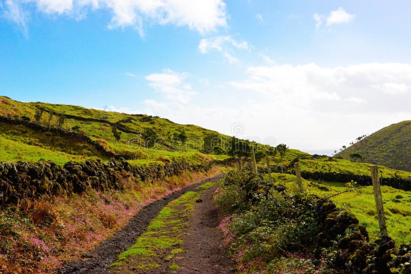 Azores bygdplats, lantligt landskap, grönt frodigt gräs, färgrika blommor, kullerstenväggar, grusväg, lopp Portugal royaltyfri foto Azores bygdplats, lantligt landskap, grönt frodigt gräs, färgrika blommor, kullerstenväggar, grusväg, lopp Portugal royaltyfri foto