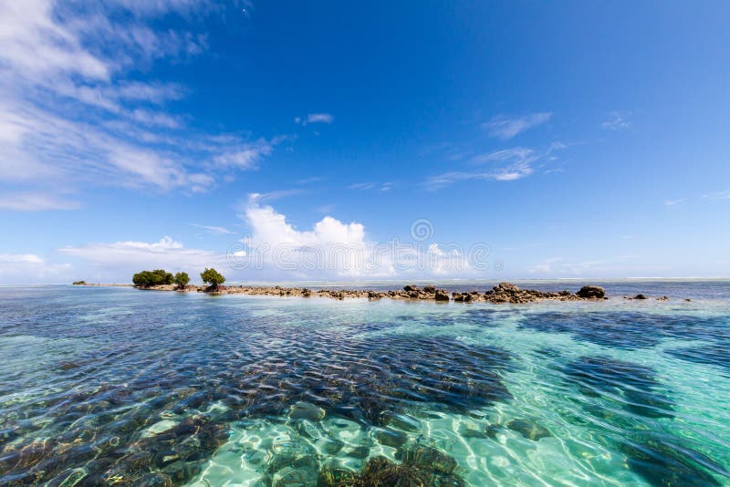 Azure turquoise blue lagoon, small uninhabited reef island motu full of dangerous rocks and mangroves trees. Pohnpei, Micronesia.