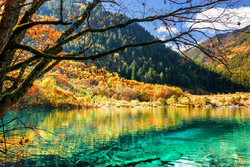 Azure Water of Lake among Fall Woods, the Shuzheng Valley Stock Image ...