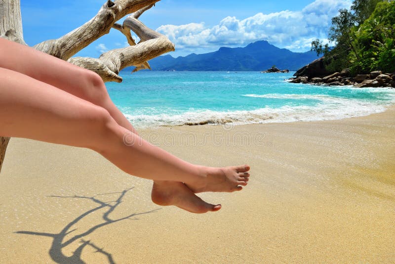 Legs of tanned woman sitting on a dry tree on the sand beach near ocean. Legs of tanned woman sitting on a dry tree on the sand beach near ocean