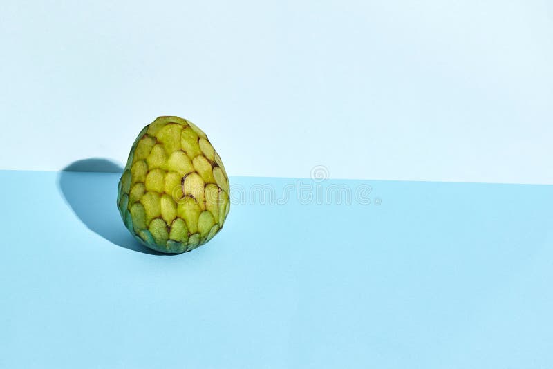 Açúcar-Apple, fruto da cherimólia do squamosa do Annona no azul fotografia de stock Açúcar-Apple, fruto da cherimólia do squamosa do Annona no azul fotografia de stock