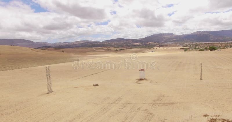 aéreo Vuelo del abejón sobre el campo del maíz