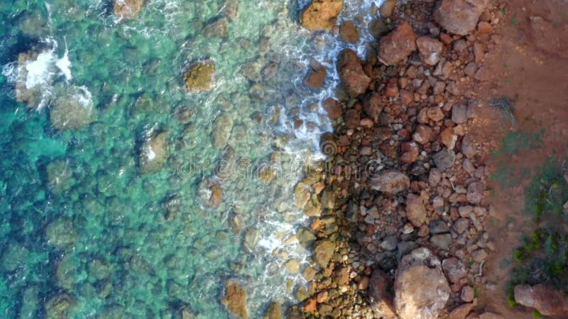Aérien : Belle vue colorée d'oiseaux de la côte de l'île tropicale avec des vacances brunes de la forêt de vagues et jungle d'eau clips vidéos