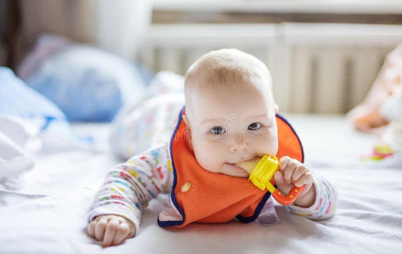 L Age De Bebe De 11 Mois Mange Des Fruits A L Aide Du Grignoteur Image Stock Image Du Enfant Bonheur L Age De Bebe De 11 Mois Mange Des Fruits A L Aide Du Grignoteur Image Stock Image Du Enfant Bonheur