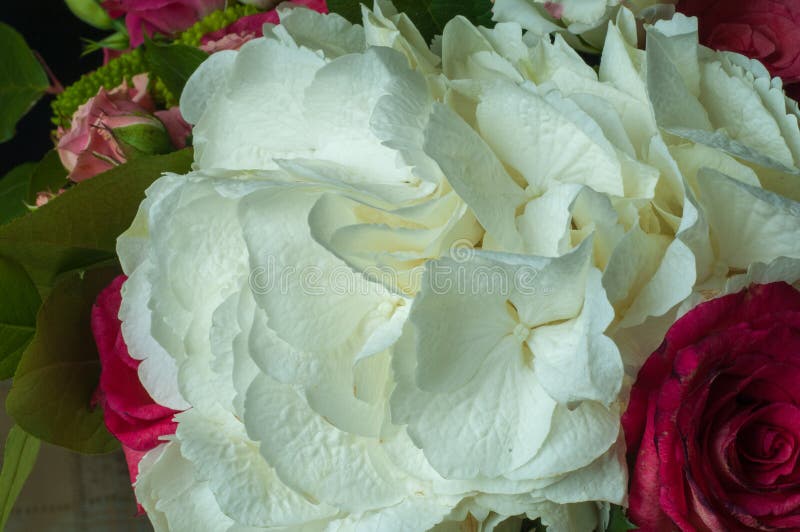 Beautiful Bouquet of Flowers Ready for the Big Wedding Ceremony Stock