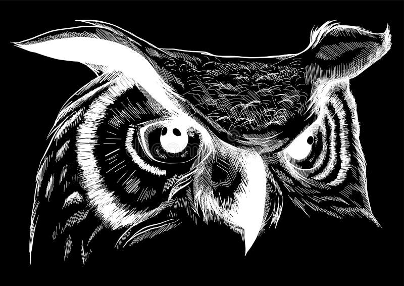 B?ho - ejemplo del vector Diseño del icono en fondo negro libre illustration B?ho - ejemplo del vector Diseño del icono en fondo negro libre illustration