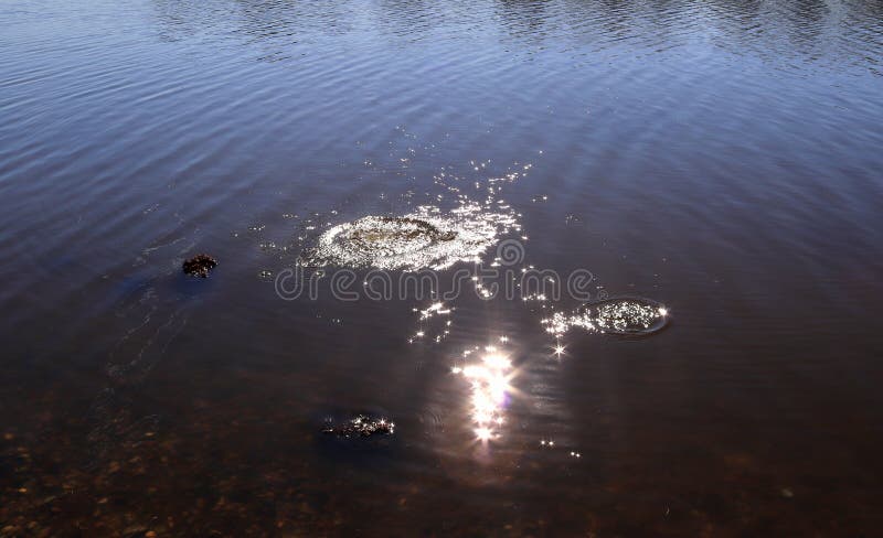 B??kitna jezioro wody powierzchnia z czochrami i che?botanie rzecz? spada w je podczas gdy odbijaj?cy ?wiat?o s?oneczne fotografia stock B??kitna jezioro wody powierzchnia z czochrami i che?botanie rzecz? spada w je podczas gdy odbijaj?cy ?wiat?o s?oneczne fotografia stock