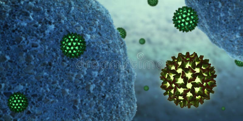 B komórek zamknięta zapalenia wątroby istota ludzka wirus