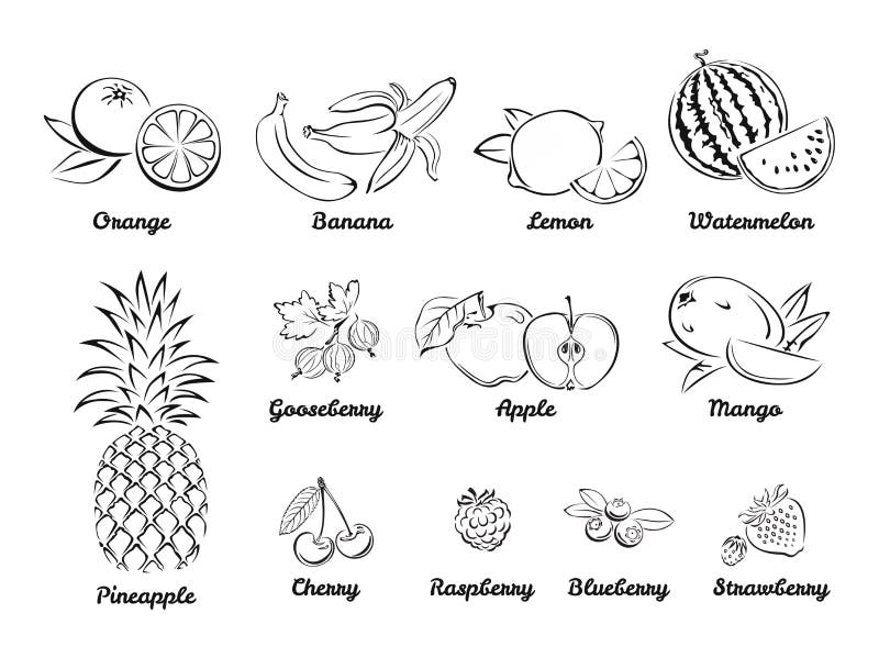 B?r och frukter Upps?ttning av svartvita symboler vektor illustrationer B?r och frukter Upps?ttning av svartvita symboler vektor illustrationer