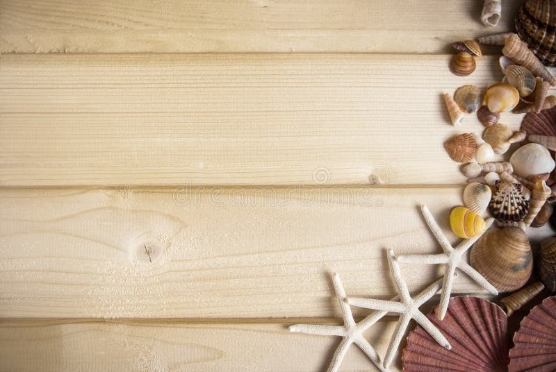 Baackground en bois lumineux avec une collection de coquilles de mer aux coquilles de côté, de jaune, de rose, de blanc et de bro images libres de droits Baackground en bois lumineux avec une collection de coquilles de mer aux coquilles de côté, de jaune, de rose, de blanc et de bro images libres de droits