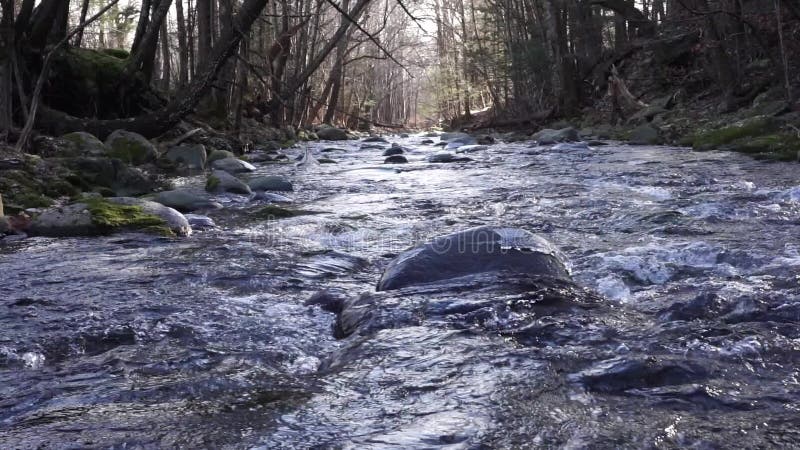 Babbling brook flows downhill in the Catskills Park Preserve